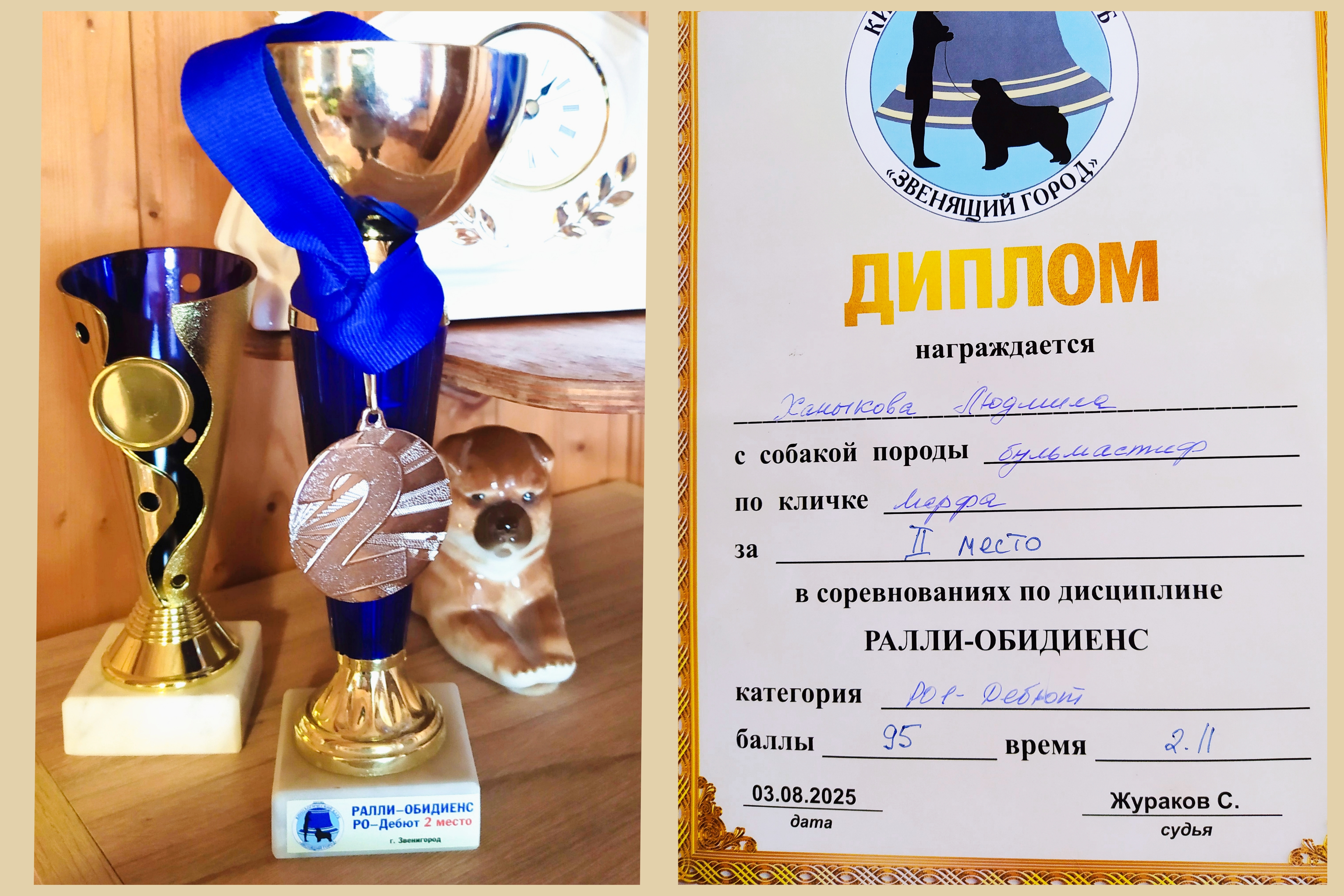 Бульмастиф шоу, выставки Lyudzhen Victory