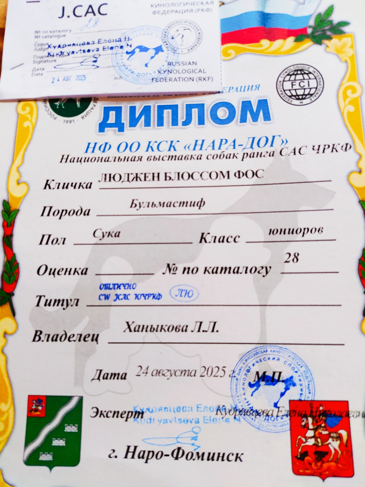 Бульмастиф шоу, выставки Lyudzhen Victory