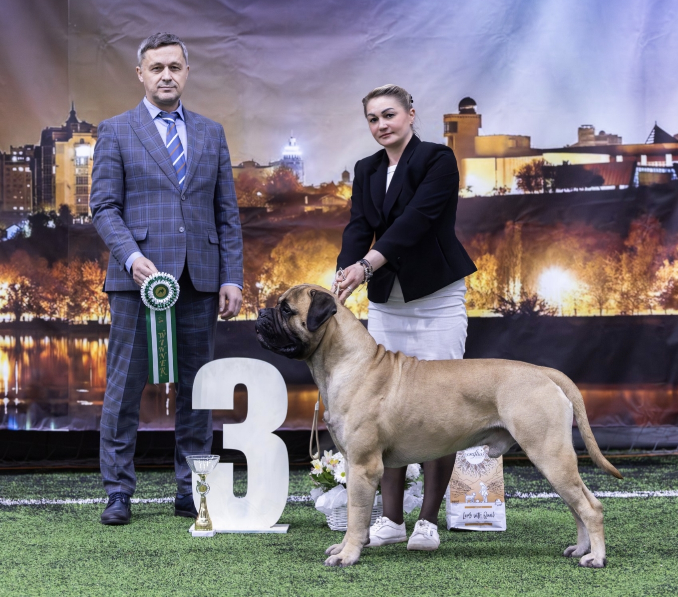 Бульмастиф шоу, выставки Lyudzhen Victory